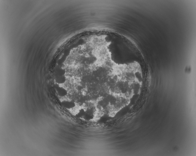 X0000113980823200911131053
