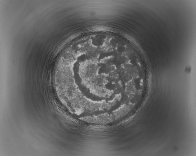 X0000113980825200911131053