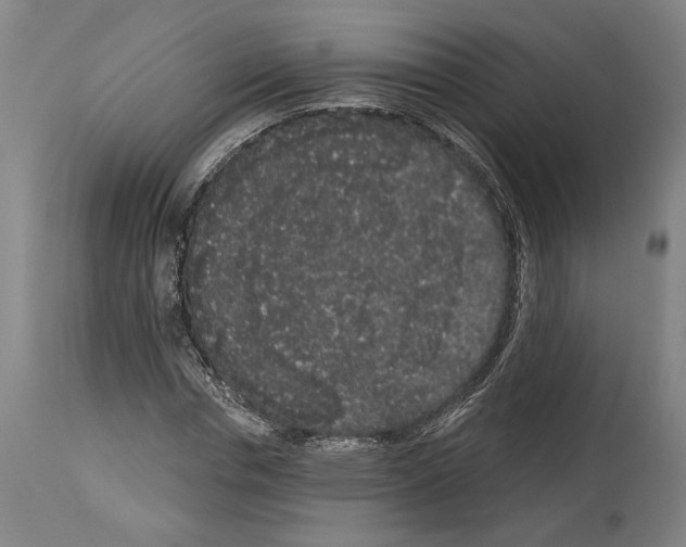 X0000113980826200911131053