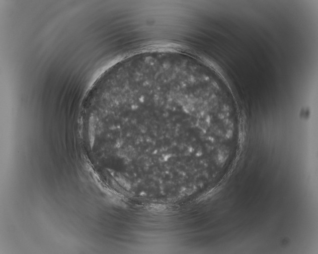 X0000113980827200911131053