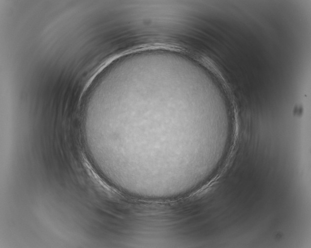X0000113980828200911131053