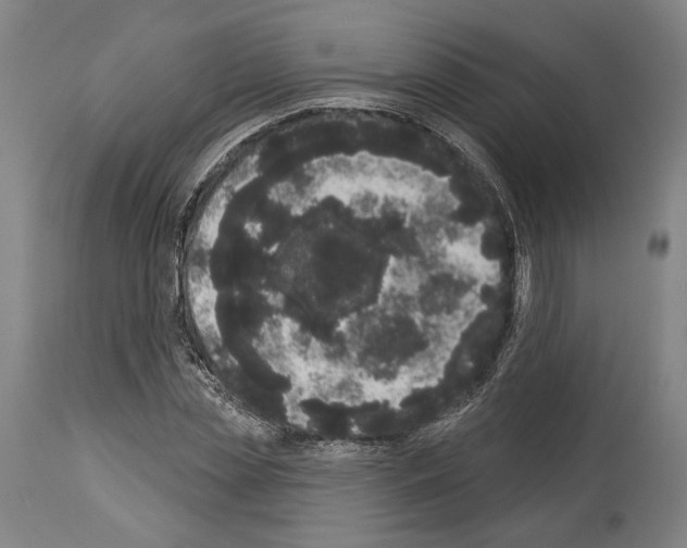 X0000113980829200911131053