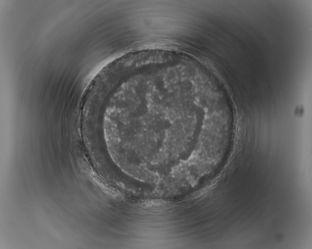 X0000113980830200911131053