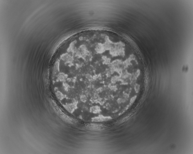 X0000113980831200911131053