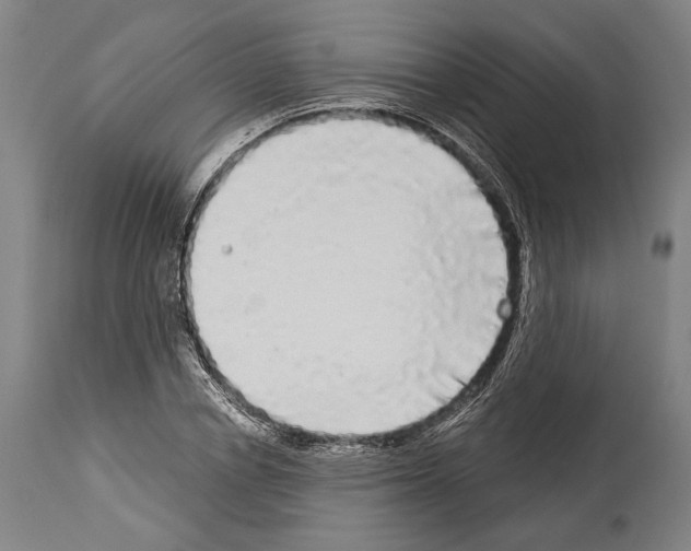 X0000113980834200911131053
