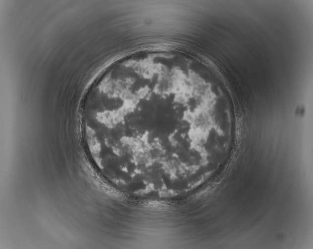 X0000113980835200911131053