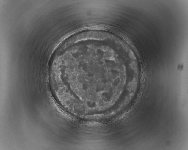 X0000113980837200911131053
