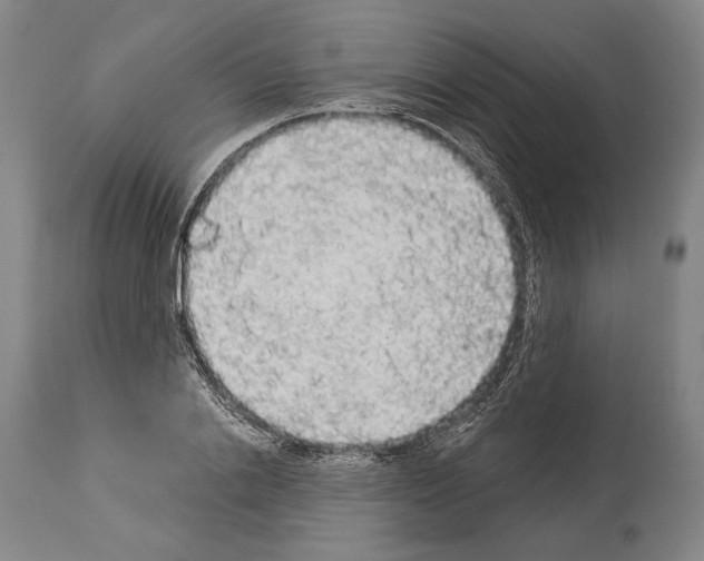 X0000113980838200911131053