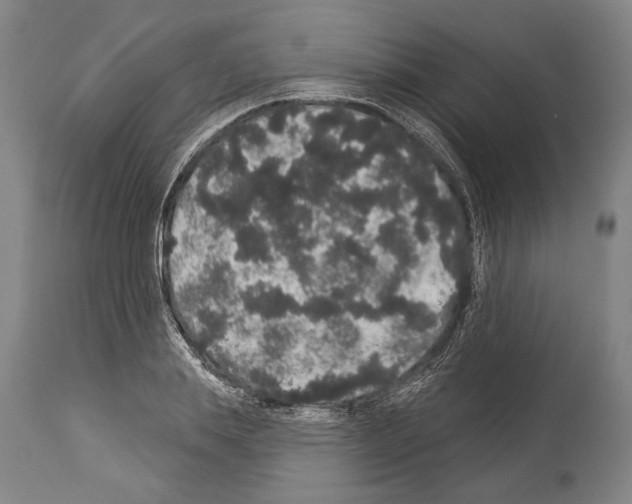 X0000113980839200911131053