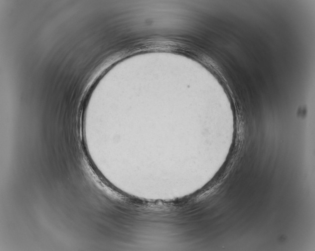 X0000113980843200911131053