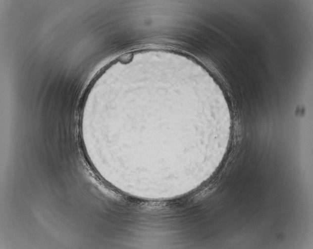 X0000113980846200911131053