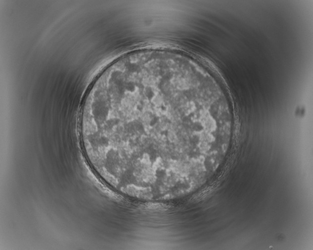 X0000113980847200911131053