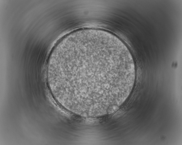 X0000113980848200911131053