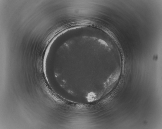 X0000113980850200911131053