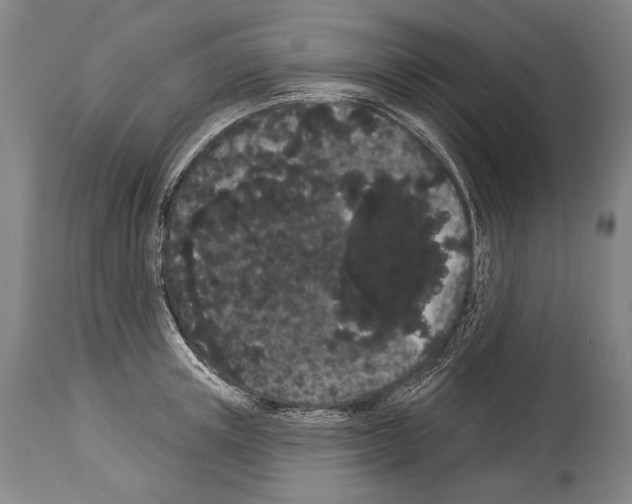 X0000113980851200911131053