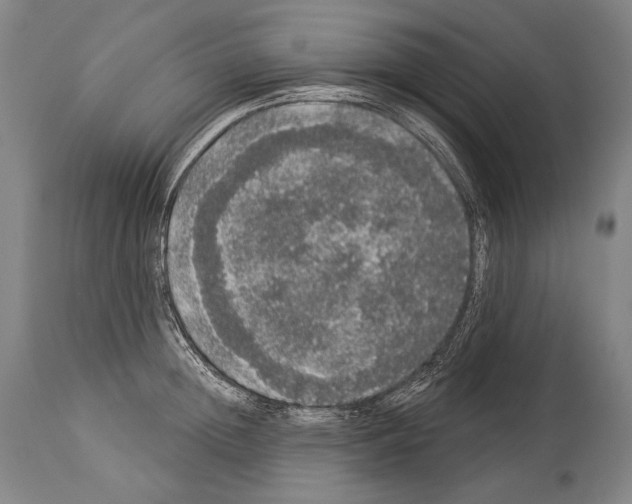 X0000113980852200911131053