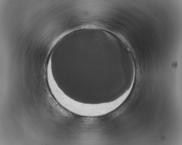 X0000113980854200911131053