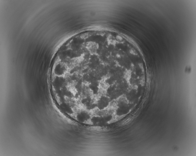 X0000113980855200911131053