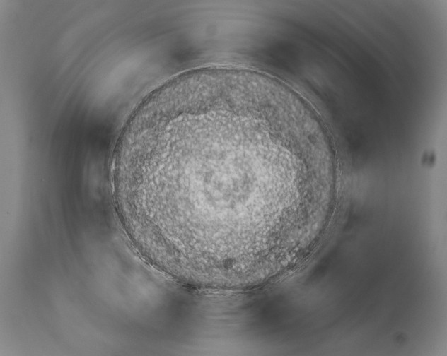 X0000113980856200911131054