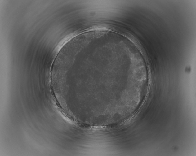 X0000113980858200911131054