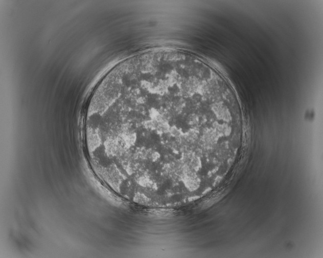 X0000113980859200911131054