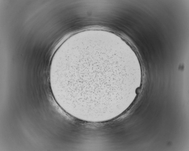X0000113980860200911131054