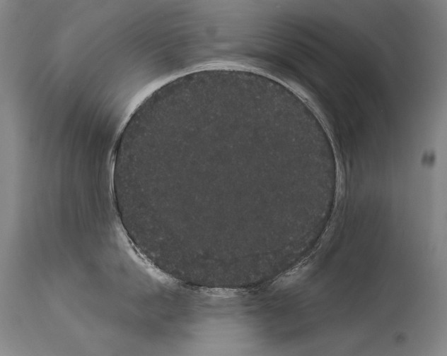 X0000113980862200911131054