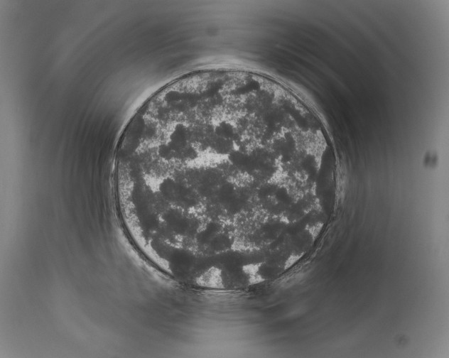 X0000113980863200911131054