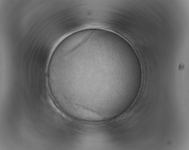 X0000113980864200911131054
