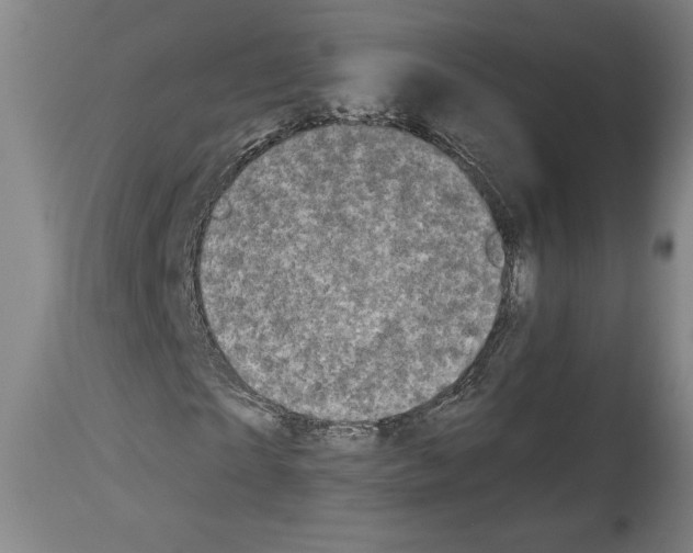X0000113980865200911131053
