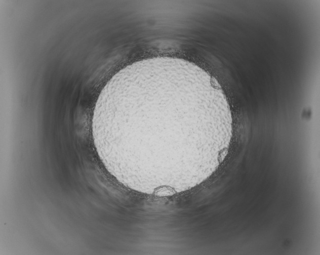 X0000113980866200911131053