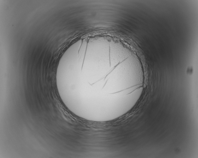X0000113980868200911131053