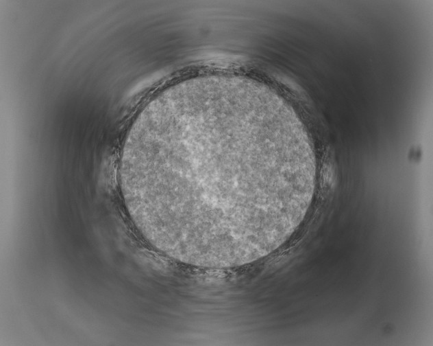 X0000113980869200911131053