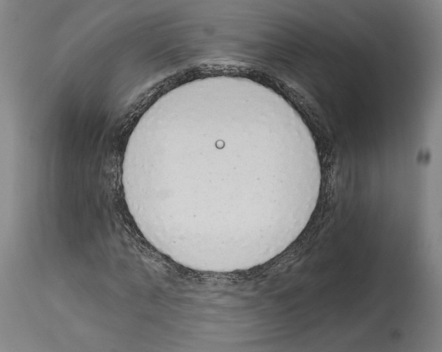 X0000113980870200911131053