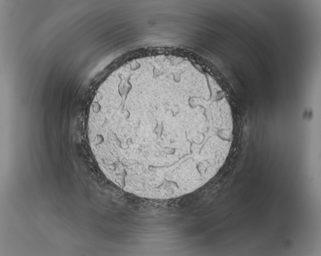 X0000113980871200911131053