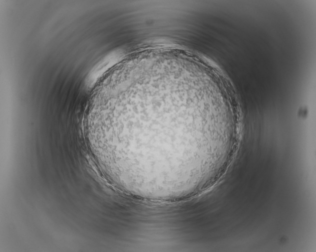 X0000113980873200911131053