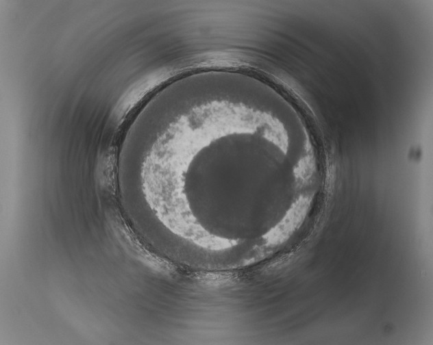 X0000113980874200911131053