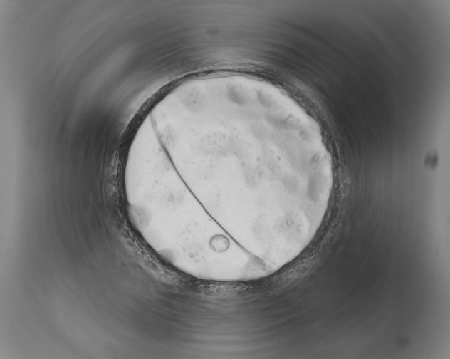X0000113980875200911131053