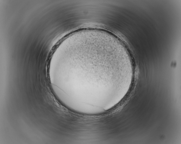 X0000113980877200911131053