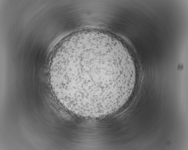 X0000113980878200911131053