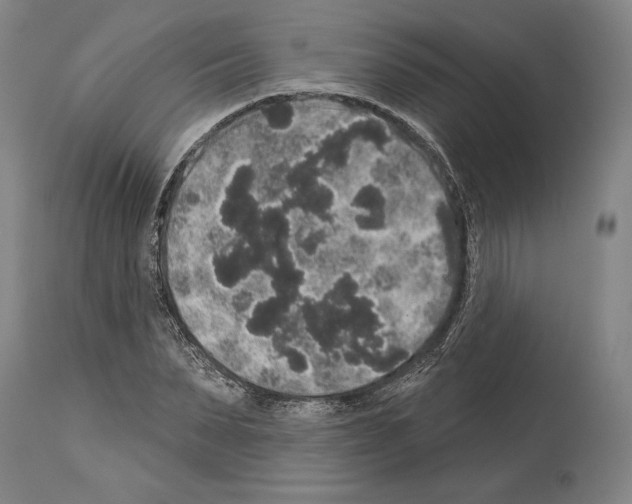 X0000113980879200911131053