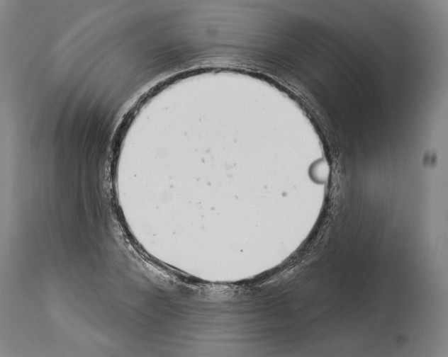 X0000113980880200911131053