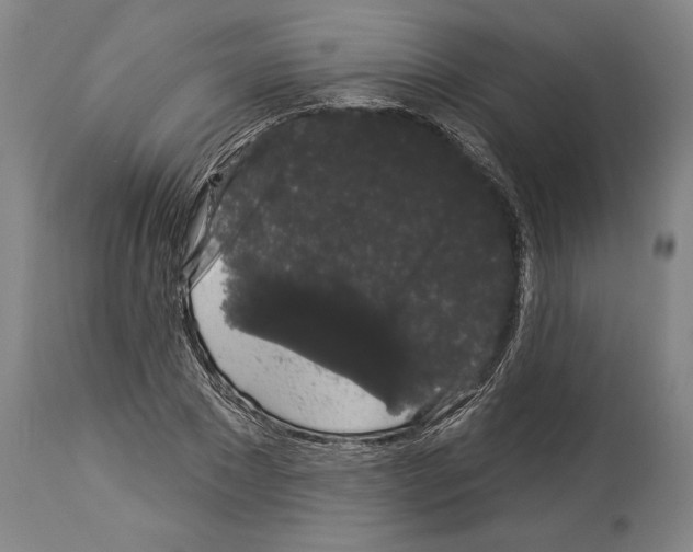 X0000113980881200911131053