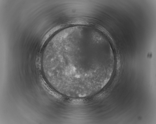 X0000113980882200911131053