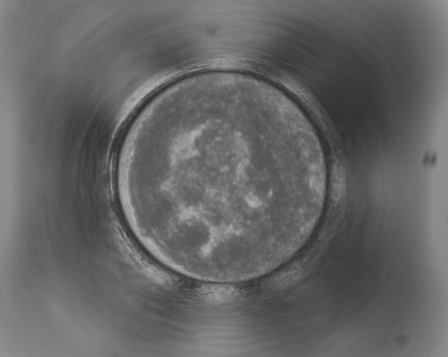 X0000113980886200911131053