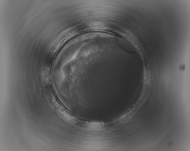 X0000113980889200911131053