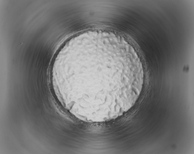 X0000113980891200911131053