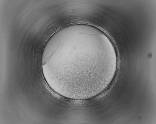 X0000113980897200911131053
