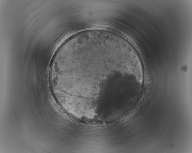 X0000113980899200911131052