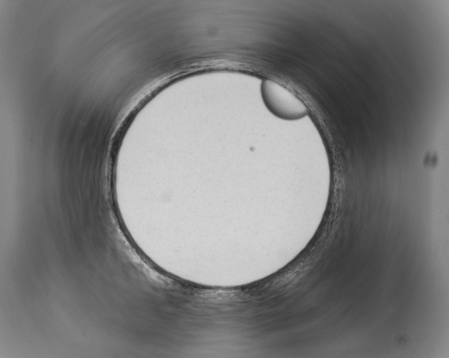 X0000113980902200911131052